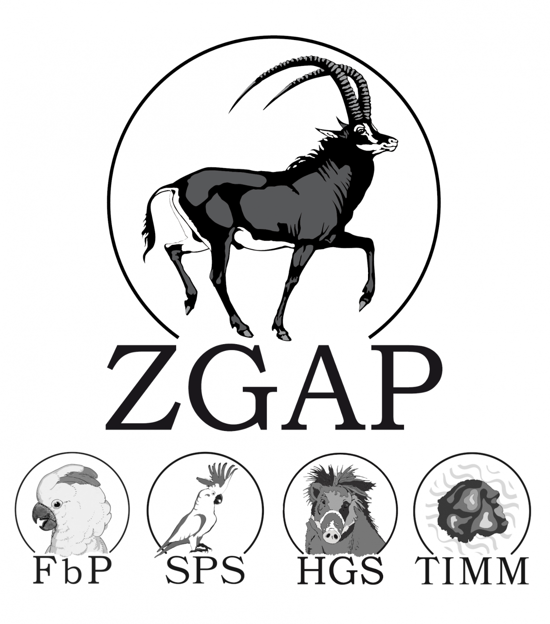 Offener Brief der ZGAP an das BMUV                     
                            zu möglichen Verboten                                               
                      der Einfuhr von Jagdtrophäen